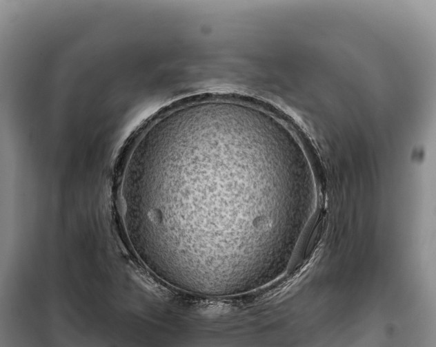 X0000100211263200806061337