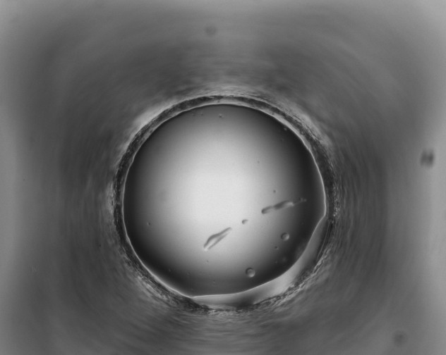 X0000100211264200806061337