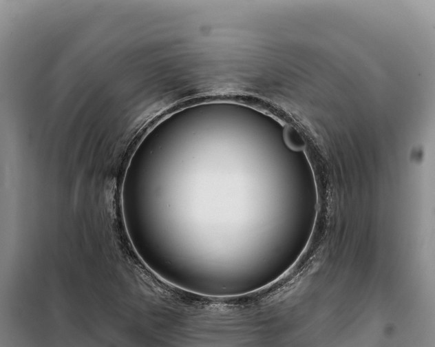 X0000100211265200806061337