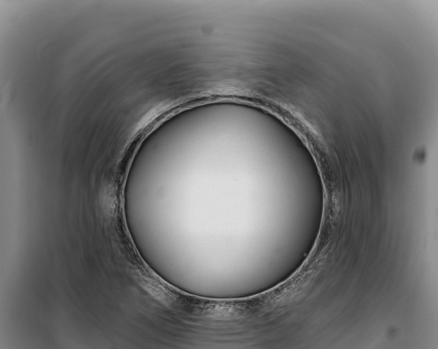 X0000100211266200806061337