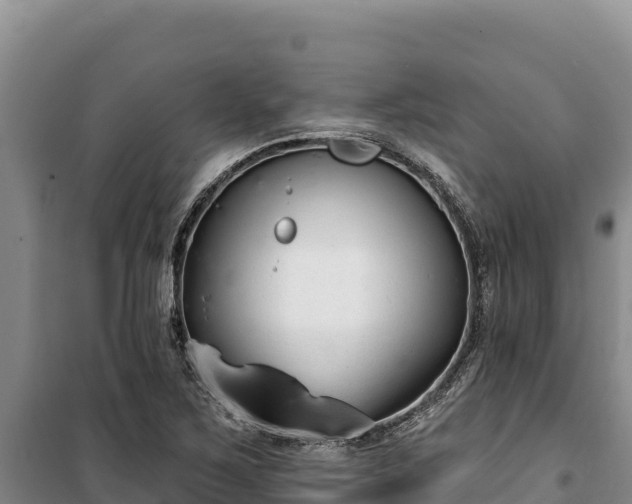 X0000100211267200806061337