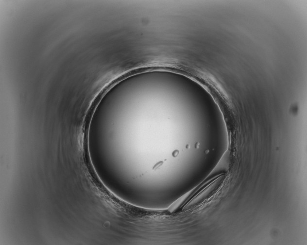 X0000100211268200806061337