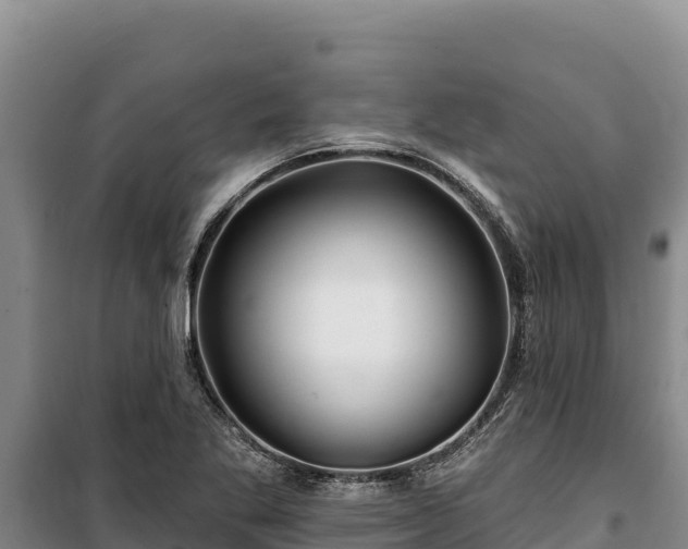 X0000100211269200806061337