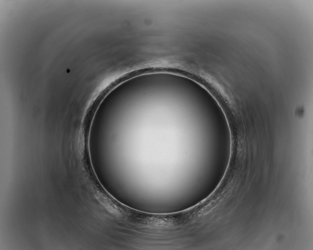 X0000100211270200806061337