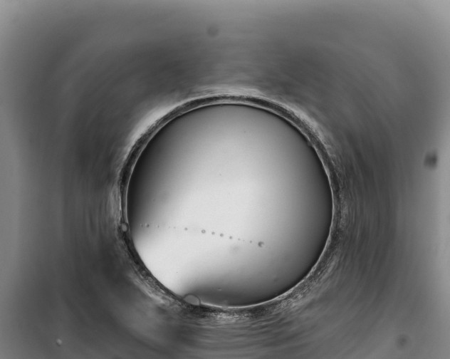 X0000100211271200806061337