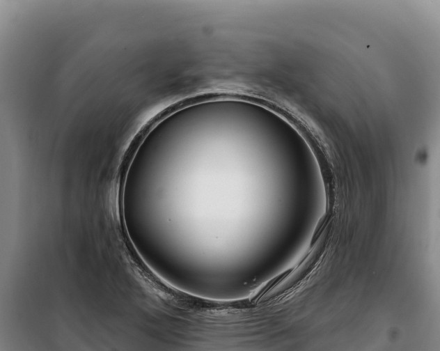 X0000100211272200806061337