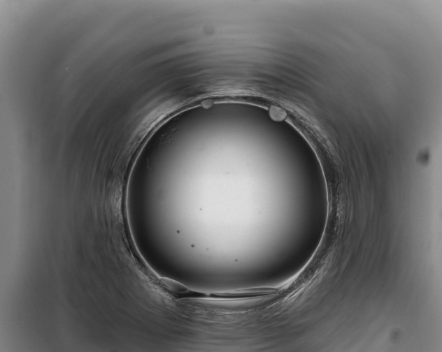 X0000100211273200806061337