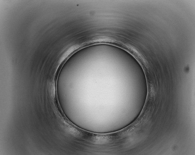 X0000100211274200806061337