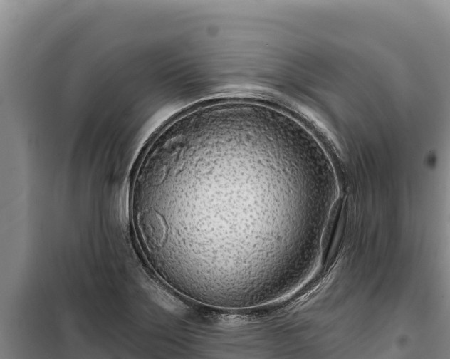 X0000100211275200806061337