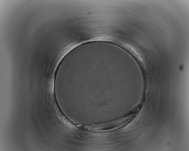 X0000100211276200806061337