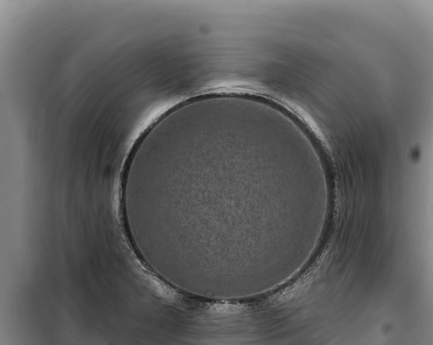 X0000100211277200806061337