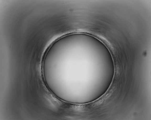 X0000100211278200806061337