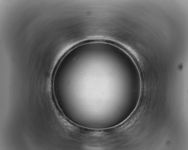 X0000100211279200806061337