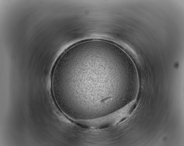 X0000100211280200806061337