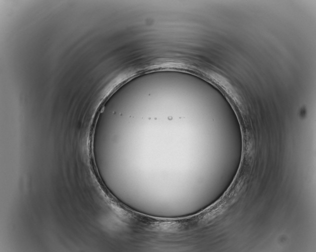 X0000100211282200806061337