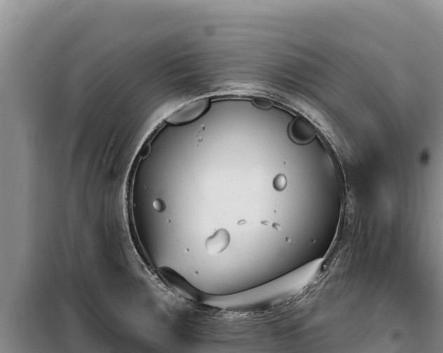 X0000100211283200806061337