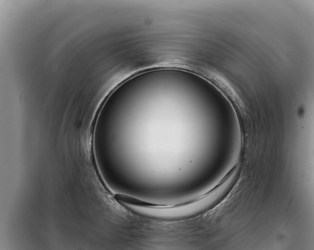 X0000100211284200806061337