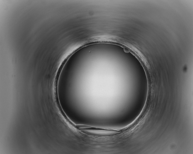 X0000100211285200806061337