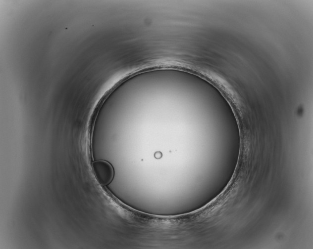 X0000100211286200806061337