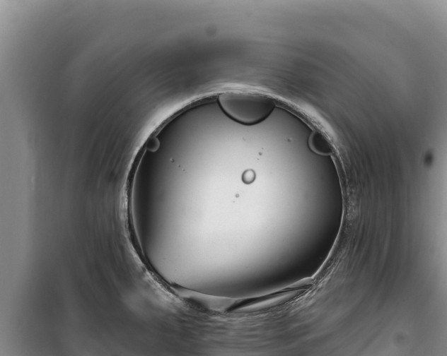 X0000100211287200806061337