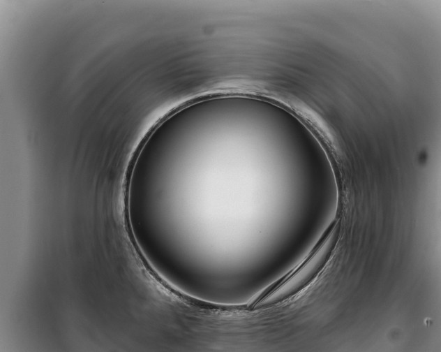 X0000100211288200806061337