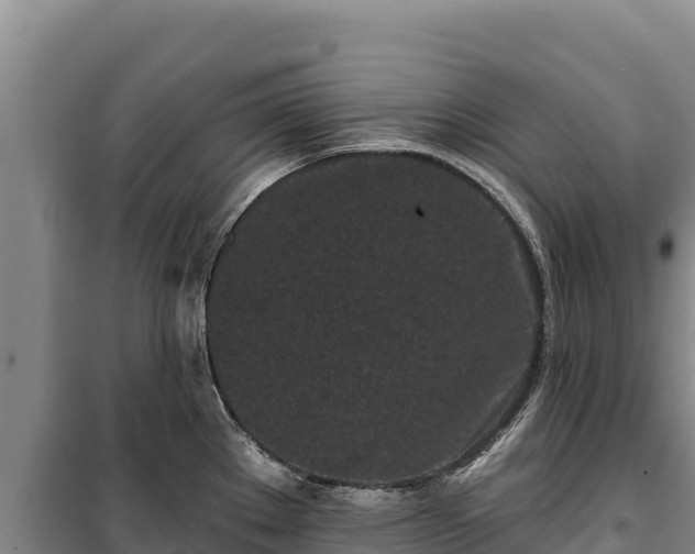 X0000100211289200806061337