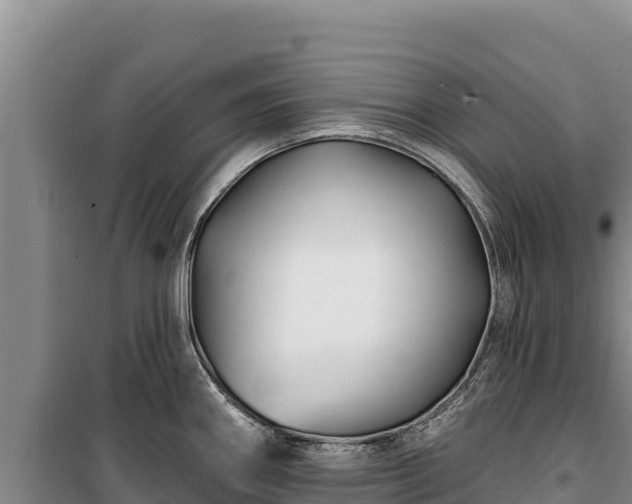 X0000100211290200806061337