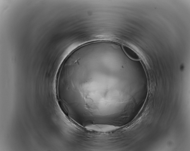 X0000100211291200806061337