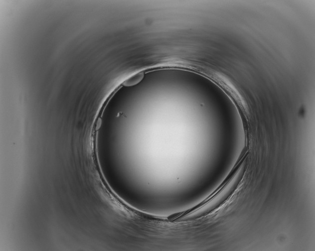 X0000100211292200806061337