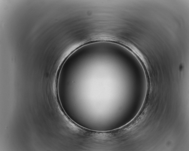 X0000100211293200806061337