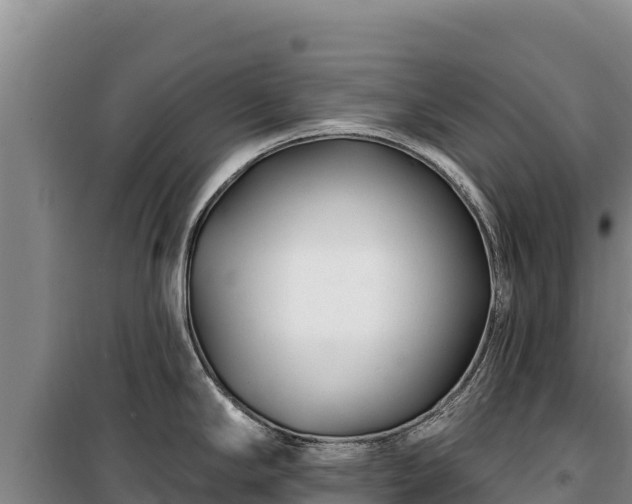 X0000100211294200806061337