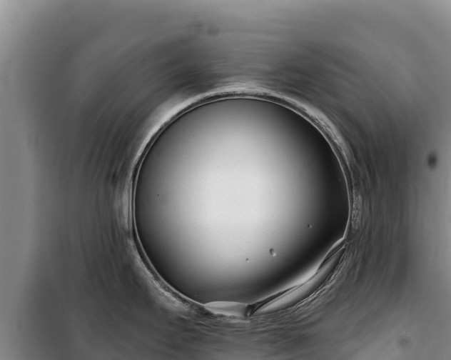 X0000100211295200806061337