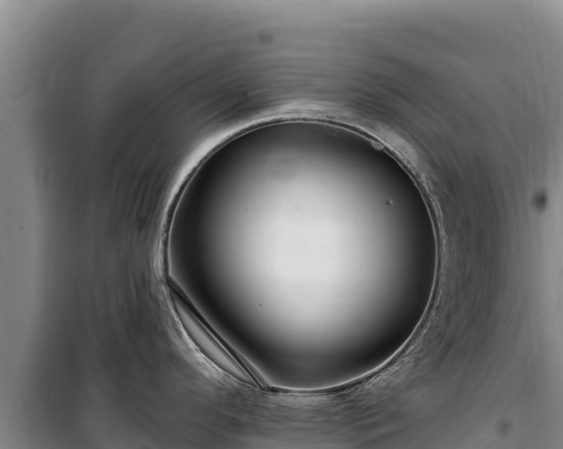 X0000100211296200806061337