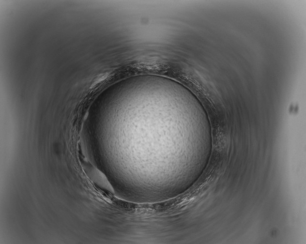 X0000100211297200806061336