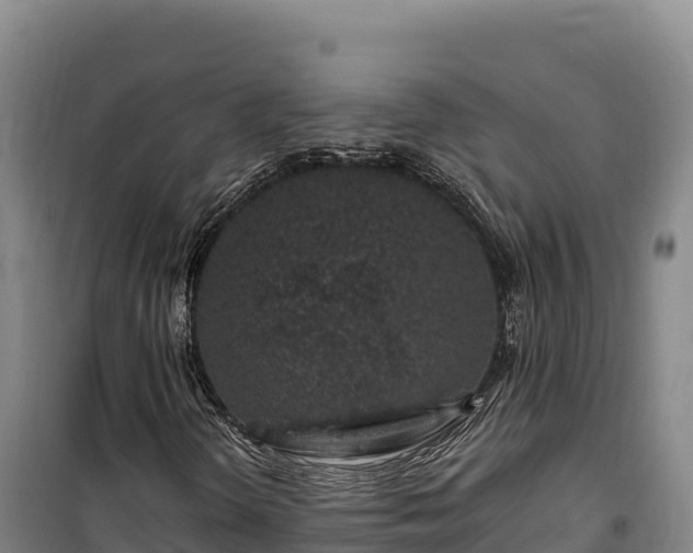 X0000100211298200806061336