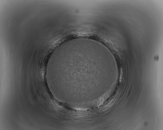 X0000100211300200806061336