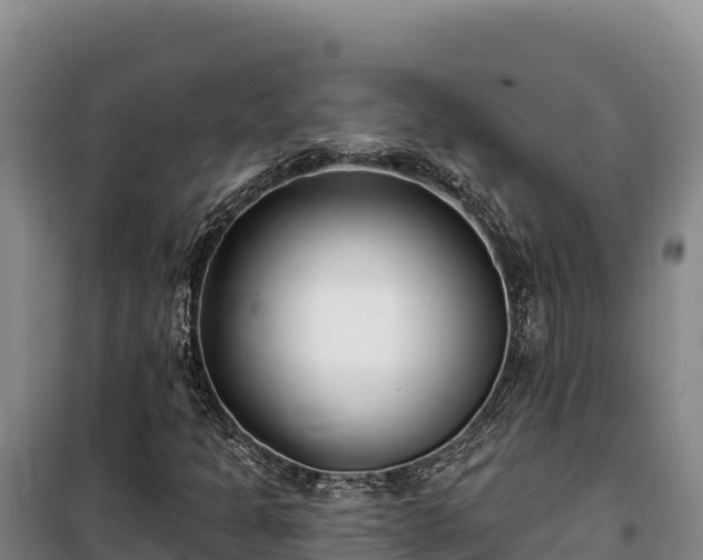 X0000100211301200806061336