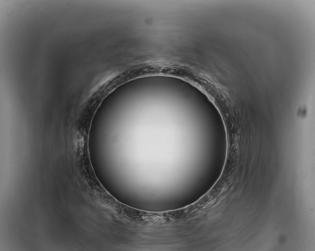 X0000100211302200806061336