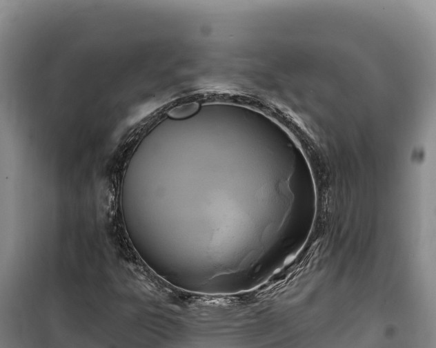 X0000100211303200806061336