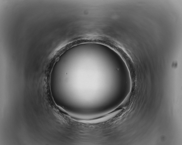 X0000100211304200806061336