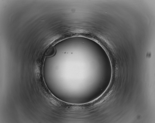 X0000100211305200806061336