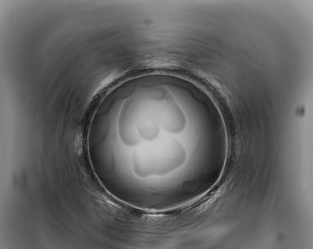 X0000100211306200806061336