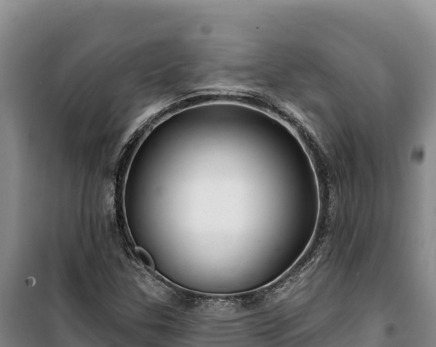 X0000100211307200806061336