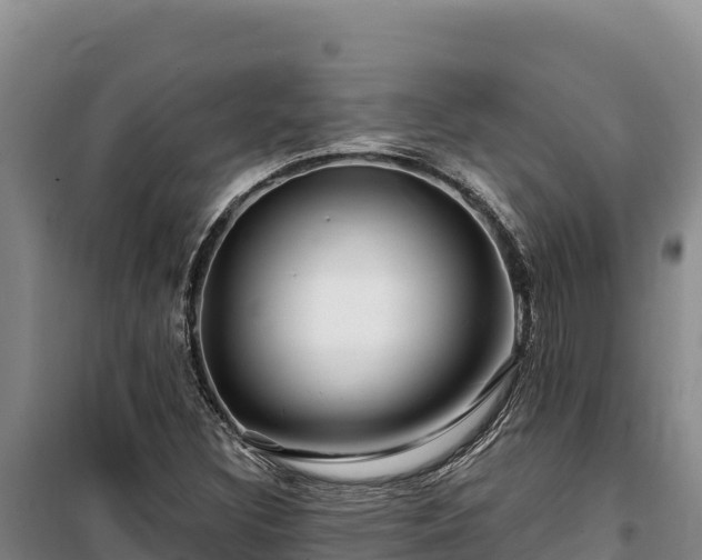 X0000100211308200806061336