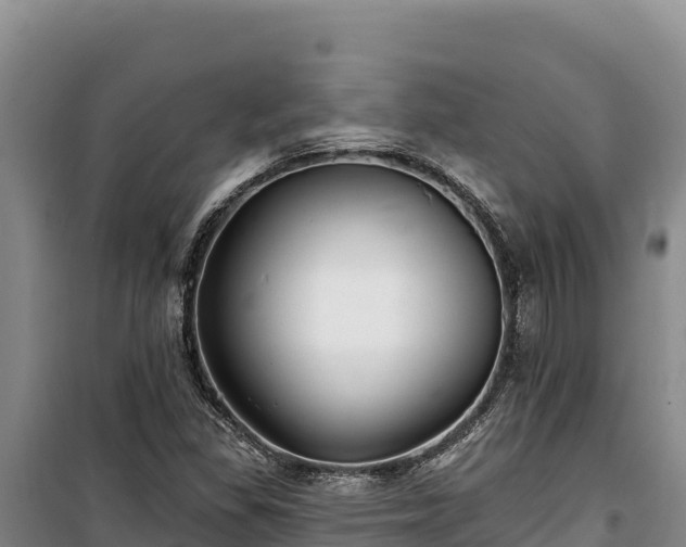 X0000100211309200806061336