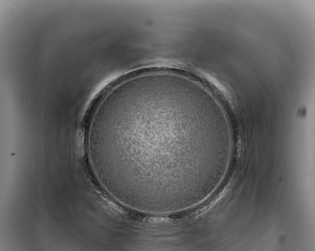 X0000100211310200806061336