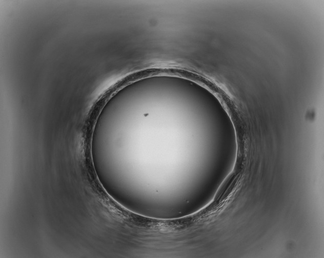 X0000100211311200806061336