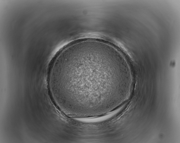 X0000100211312200806061336