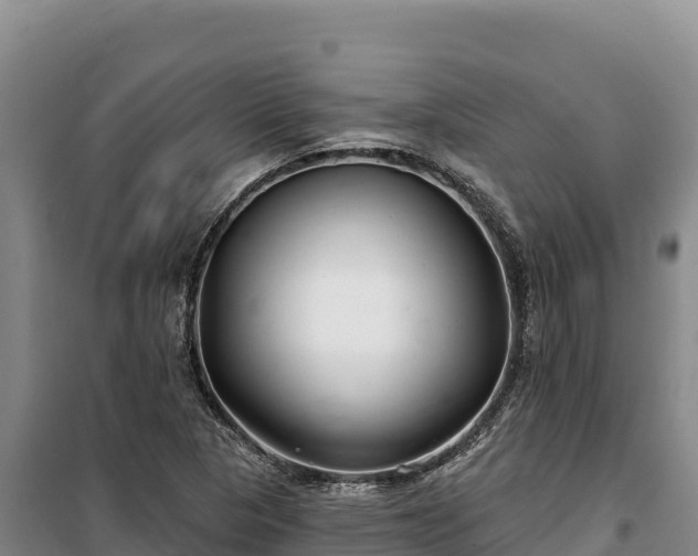 X0000100211313200806061336