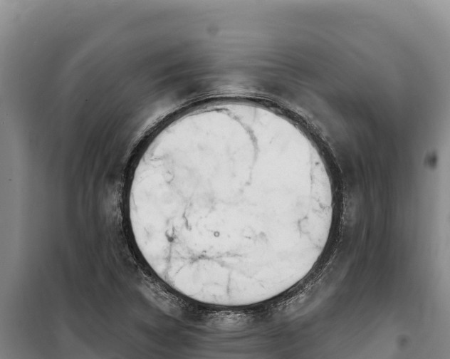 X0000100211314200806061336